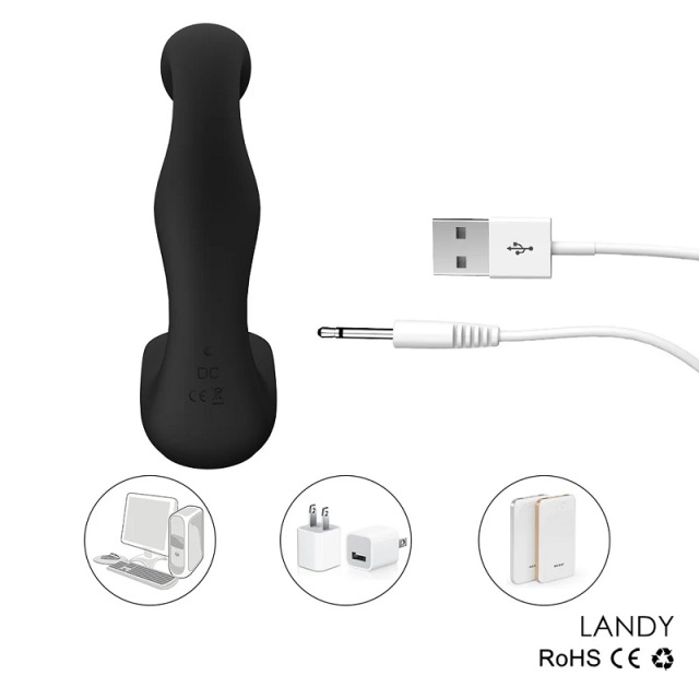 S010 Landy Butt Anal Plug Prostate Stimulator with 7 Speed Massager USB Rechargeable
