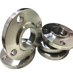 Hastelloy C-22 Flanges