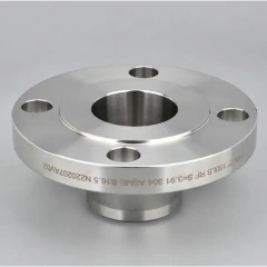 Hastelloy C-22 Flanges
