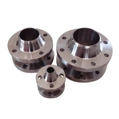 Duplex Stainless Steels 2507 Flanges
