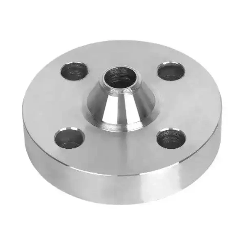 Duplex Stainless Steels 2507 Flanges