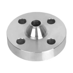 Duplex Stainless Steels 2205 Flanges