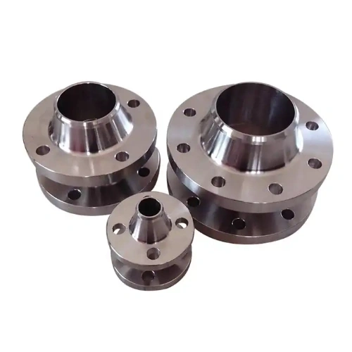 Duplex Stainless Steels 2205 Flanges