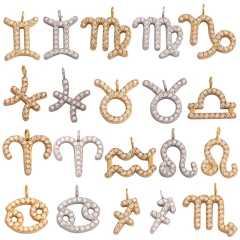 Trendy Charm Zodiac Horoscope Sign Medallion Pendant,316 Stainless Steel Sparkle for Necklace Bracelet Jewelry Making Supplies