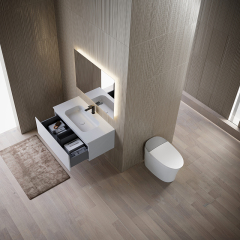 Beliebtes Großhandels-Designer-Badezimmer-Eitelkeits-Smart-Toiletten-Duschkopf-Komplettset TW-3501&TW-M62&TW-S71