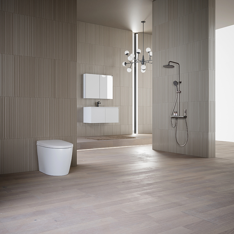 Hot Style Wholesale Bathroom Cabinet Smart Toilet Shower Head Complete Set TW-3001&TW-M60&XA-S71