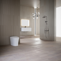 Beliebtes Großhandels-Designer-Badezimmer-Eitelkeits-Smart-Toiletten-Duschkopf-Komplettset TW-3501&TW-M62&TW-S71