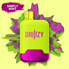 DRIIIZY X2 15000 Dual Tank Disposable-Simply Mint