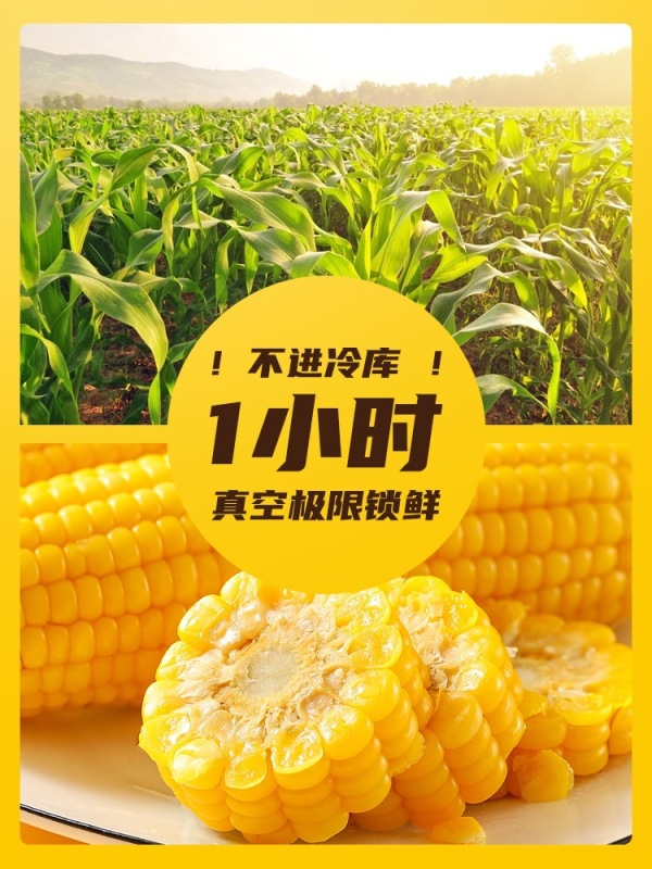 傻小胖 糯玉米 真空装即食糯玉米