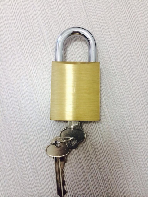 Removable Core Padlock