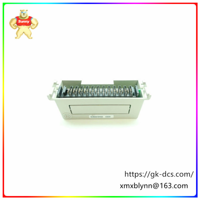 1B30023H02    PLC Module    LED indication for power and bus status