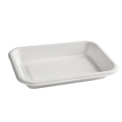 12oz /16oz Tray With Dome Lid