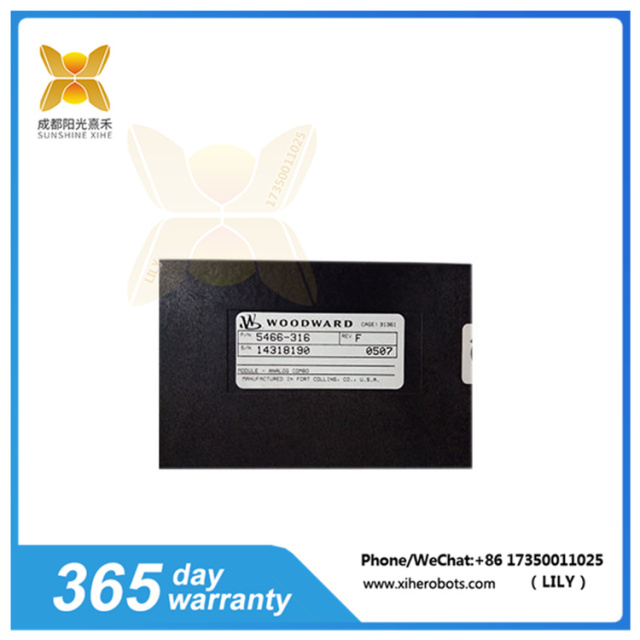 5466-316  Input Output (I/O) Module