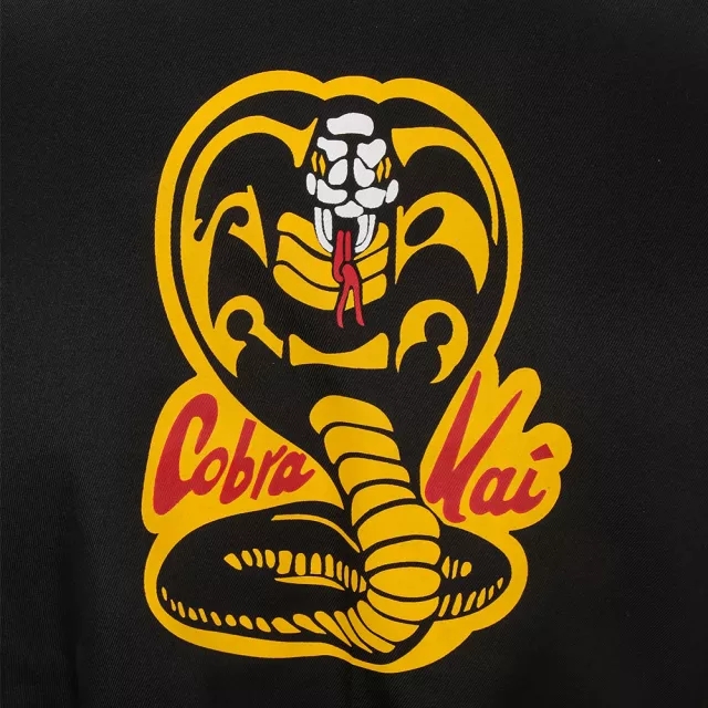 Cobra Kai  Karate Kid Robby Keene Cosplay Costume Takerlama