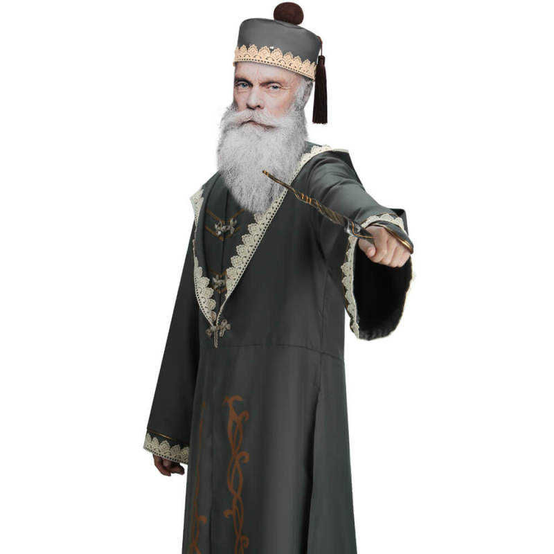 Professor Dumbledore Costume Harry Potter Medieval Themed Fancy Dress In Stock-Takerlama