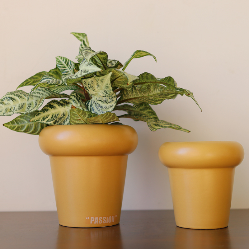 Nordic Morandi Color Cute Multi Sizes Ceramic Flower Planters & Pots for Home Garden Decor