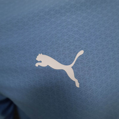 Manchester City home 24/25 long sleeve player football team shirt