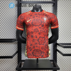 Portugal Special edition player 24/25 football team shirt Jersey