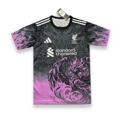 Liverpool win Special Edition 25/26 New Season Football Jersey Sports Shir