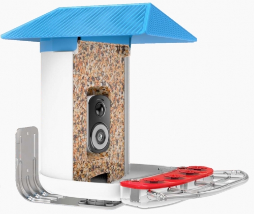 BF29B 3k WI-FI AI Recognition Bird feeder