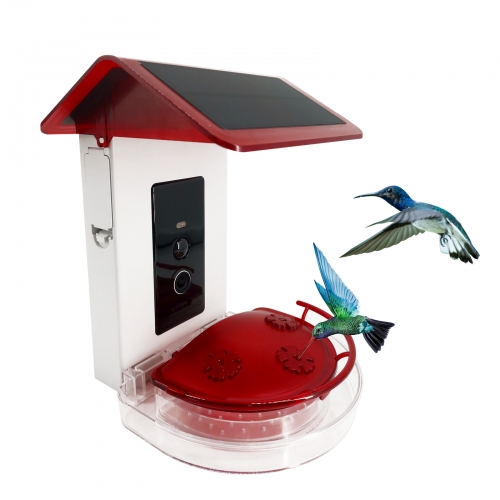 HM02 Professional Hummingbird Feeder with Smart Al Camera