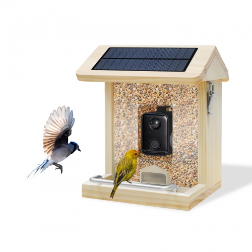 WBF02 Smart Bird Feeder With Wi-Fi Camera