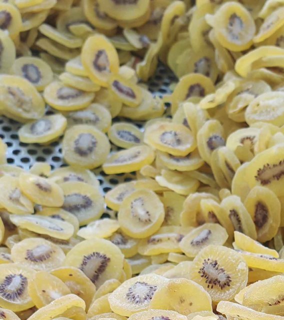 Dehydrated Kiwi