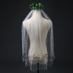 Pearl Appliques Veil