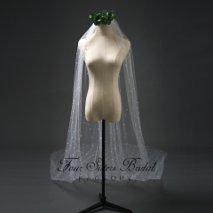Pearl Appliques Veil