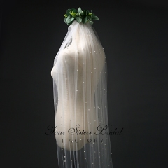 Pearl Appliques Veil