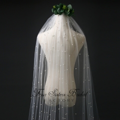 Pearl Appliques Veil
