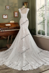 V Basque Romantic illusion corset wedding dress With Dramatic Lace Train