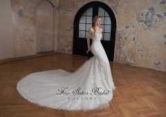 Elegant Lace Mermaid wedding dress with strapless neckline