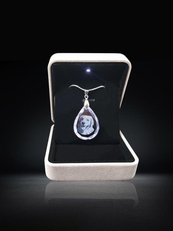 Personalized Pets Gifts Customized Crystal Jewelry Engraved Necklace First Surprise Gift for Girlfriend