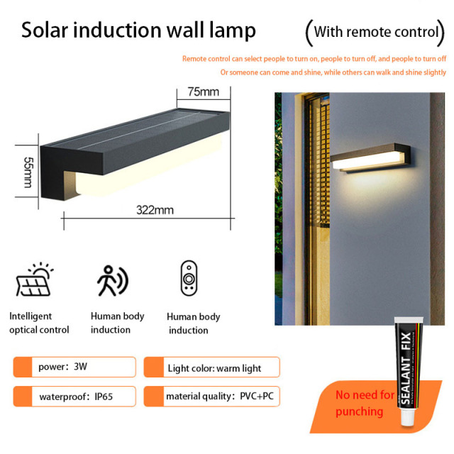 Outdoor Induction LED Solar Wall Lamp