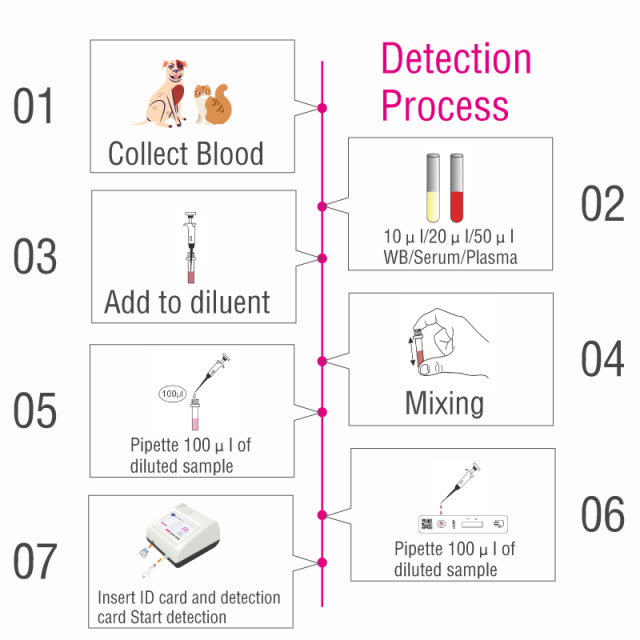 cTT4 Canine Rapid Tests(FIA) | Canine Total Thyroxine（cTT4）Rapid Quantitative Test | VETIVD™ cTT4 12 minutes to detect results