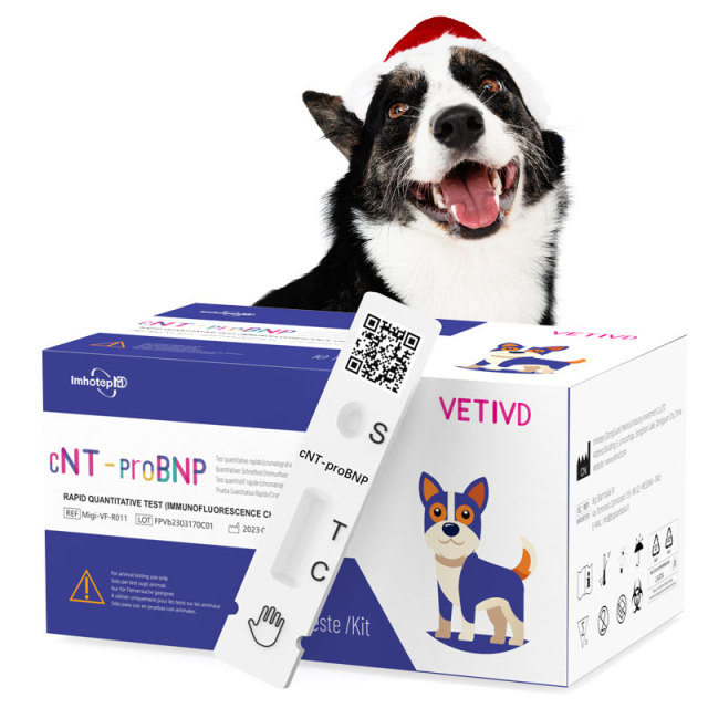 Test Rapidi cNT-proBNP (FIA) | Test quantitativo rapido del peptide natriuretico pro-cervello N-terminale canino (cNT-proBNP) | VETIVD™ cNT-proBNP 15minuti per ottenere i risultati