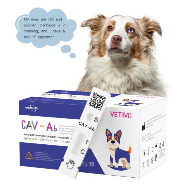 Test Rapidi CAV-Ab (FIA) | Test quantitativo rapido degli anticorpi dell'adenovirus canino (CAV-Ab) | VETIVD™ CAV-Ab 10 minuti per ottenere i risultati
