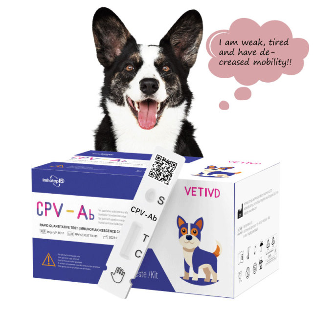 CPV-Ab Canine Rapid Tests(FIA) | Canine Parvovirus Antibody (CPV-Ab) Rapid Quantitative Test | VETIVD™ CPV-Ab 10 minutes to detect results