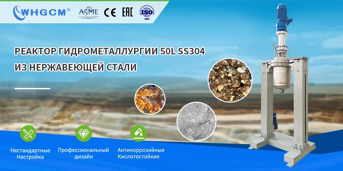 Плакат 50L высокой температуры нержавеющей стали SS304 гидрометаллургии реактор