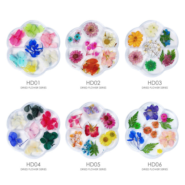 3D Dried Flowers Nail Art Natural Pressed Floral 7 Grids  Nail Decals DIY Nail Decoration (D121)