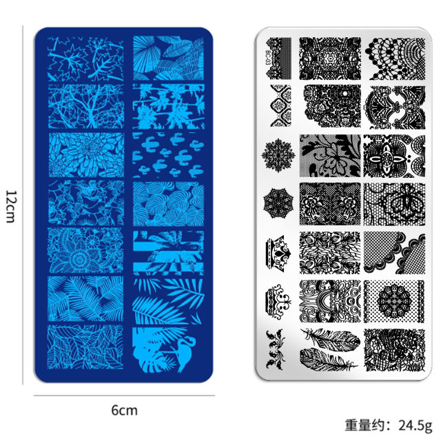 Nail Art Stamping Plates Manicure DIY Lase Flower Templates (SNA02)