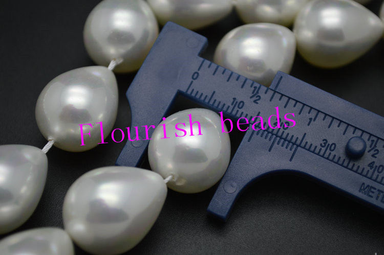 16*20MM Smooth Shell Beads