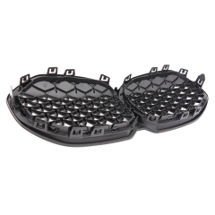 Nieren Grill Schwarz Chrom Mesh-Design passend für BMW 1er F40