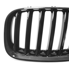 Nieren Grill glanz Schwarz Einzelsteg passend für BMW X5 E53 Facelift