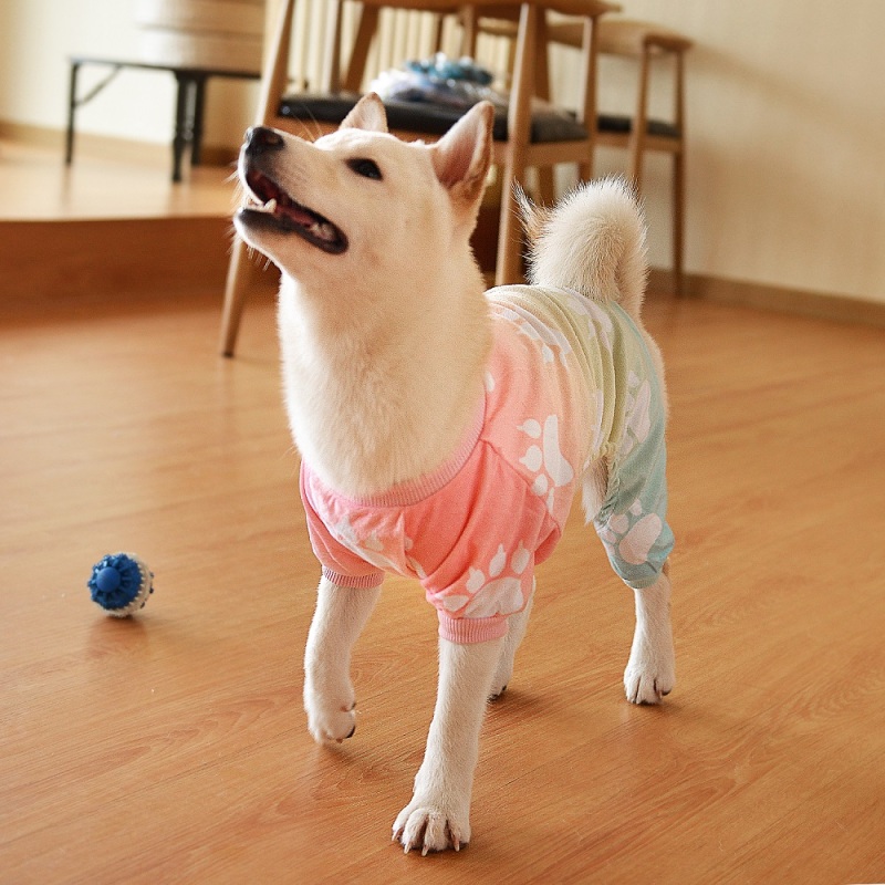 Gradient Footprint Dog Pajamas