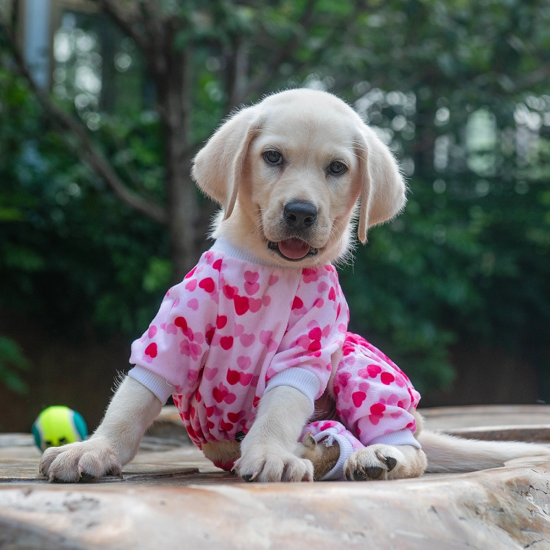 Pink Sweet Heart Dog Pajamas
