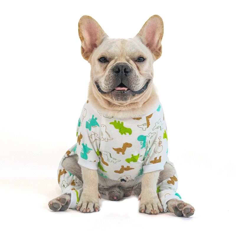 2 pack of Cotton Dog Pajamas - Dinosaur&amp;Car