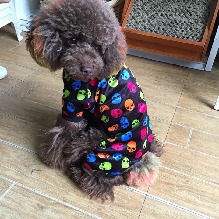 Skeleton dog pajamas-Colorful