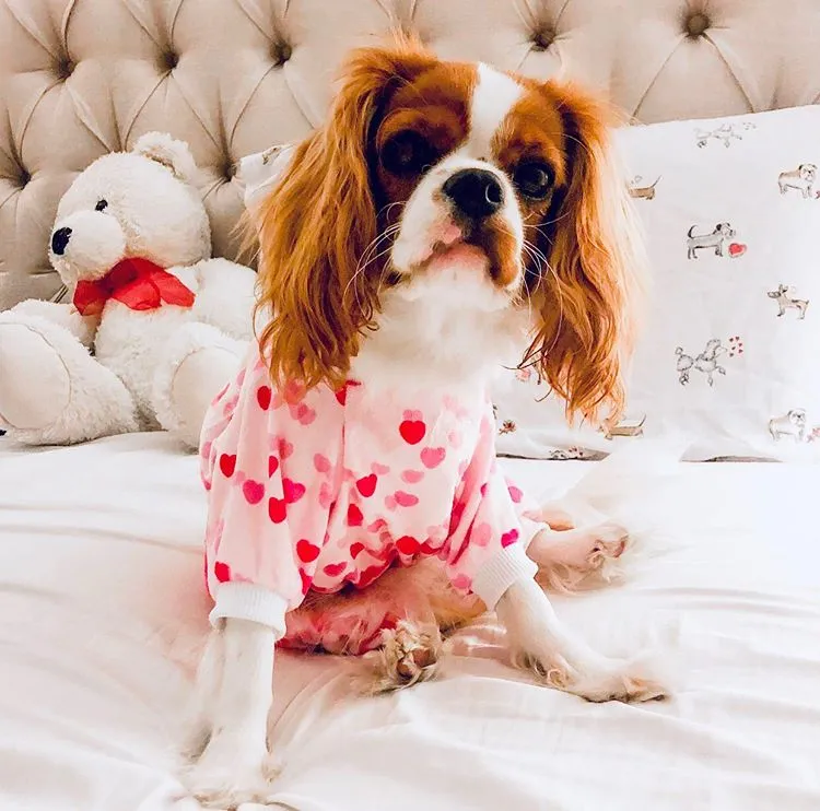 Pink Sweet Heart Dog Pajamas